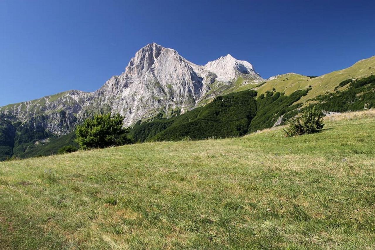 Complesso Turistico Aurora - Camere B&B Poggio Picenze Eksteriør billede